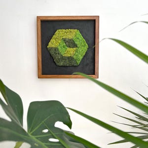 Geometric Moss Wall Art |  Handmade Natural Preserved Lichen in Wood Frame 12” x 12”| Green Tones Decor | Eco-Friendly Botanical Home Accent