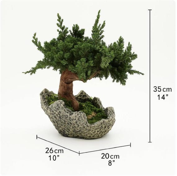 Natural Juniper Bonsai Tree | 14'' X 10'' 3D Printed PLA Pot | Zero  Maintenance Plant | Eco-friendly Zen Decor | Japanese Style Gift - Etsy