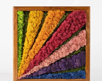 Peut inclure: Un cadre en bois carré contenant une œuvre d'art en mousse aux couleurs de l'arc-en-ciel. La mousse est disposée en bandes diagonales de vert, jaune, orange, rouge, rose, violet et bleu.