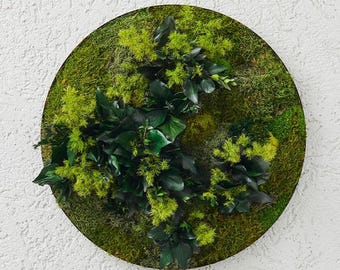 Round Moss Wall Art – 20'' Preserved Reindeer Moss, Japandi Style