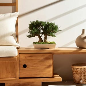 Preserved Bonsai Decor in Ceramic Pot | Eco-Friendly Zen Gift 6” x 7” x 10” | Zero-Maintenance Indoor Green Accent | Japanese-Inspired