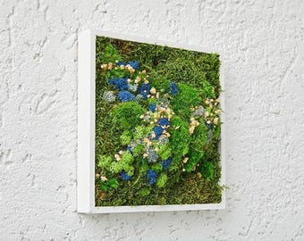 Preserved Moss Wall Art: Lichen & White Plants in Wooden Frame  8” x 8”
