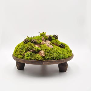 Rustic Wood Moss Centerpiece: Preserved Greenery Table Decor, 6" x 6"