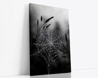 Spider Web Art Print, Black and White Nature Painting, Halloween Decor