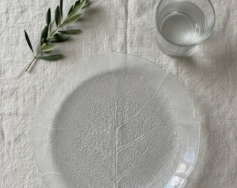 Flèche d'arc recourbé 12 Pièces de 30 0,6cm Fibre de verre sur