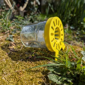 Peut inclure: Un couvercle de bocal en plastique jaune avec une ouverture circulaire et une petite poignée. Le couvercle est fixé à un bocal en verre transparent.