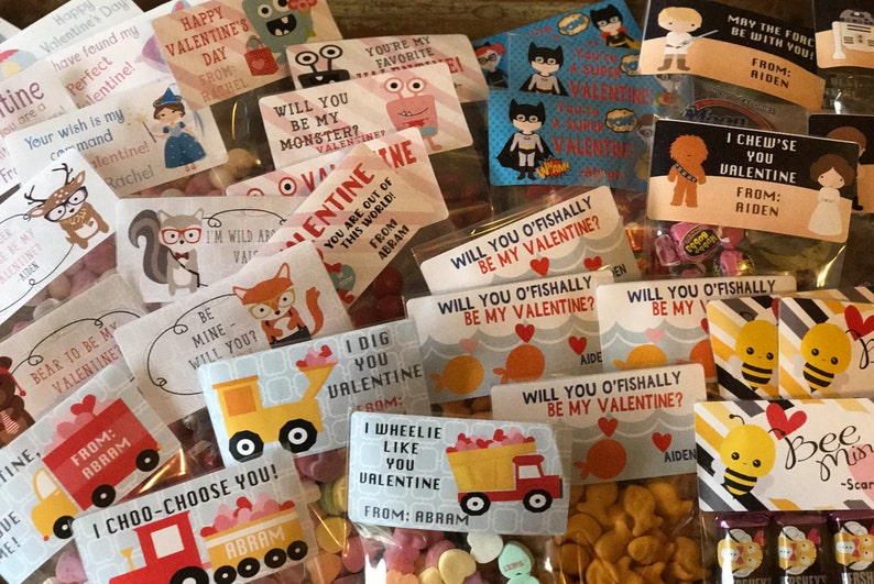 Labels and Resealable Treat Favor Bags Set of 20 or 30 Lucky Duck Valentine Stickers