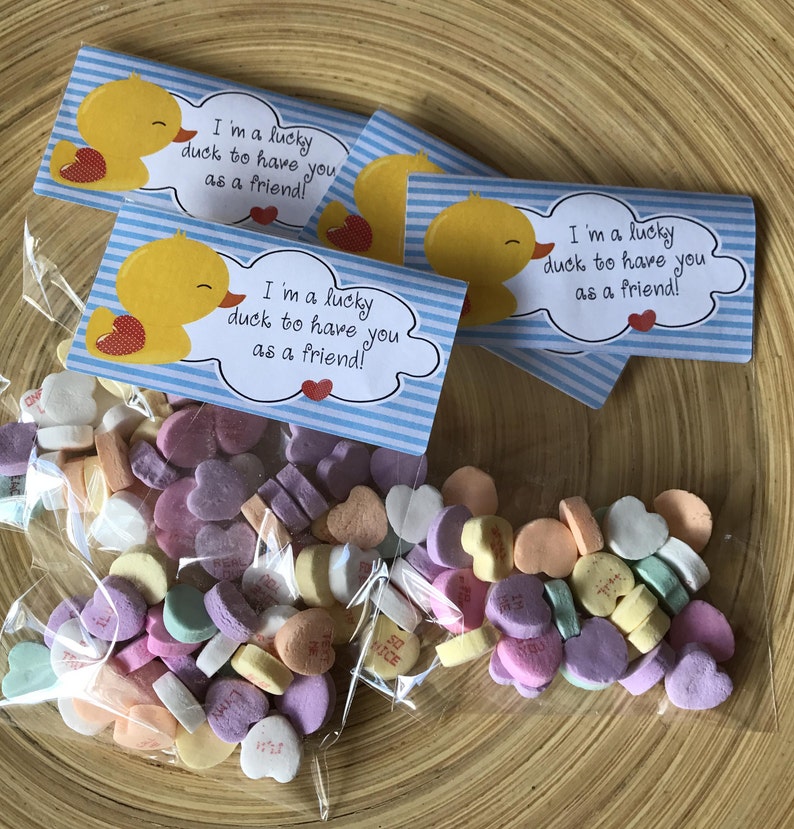 Labels and Resealable Treat Favor Bags Set of 20 or 30 Lucky Duck Valentine Stickers