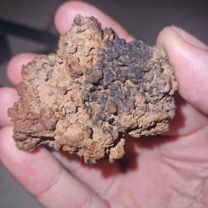 Meteorite islandese