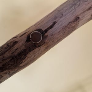 Bastone sciamano