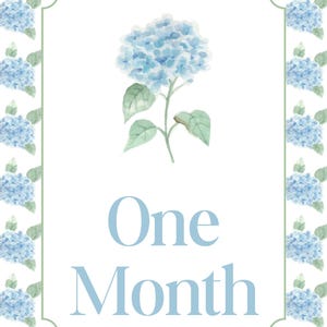 Cartes personnalisées bébé hortensia bleu