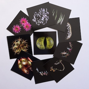 Set of 10 postcards 12x12 cm, "CAM style" collection
