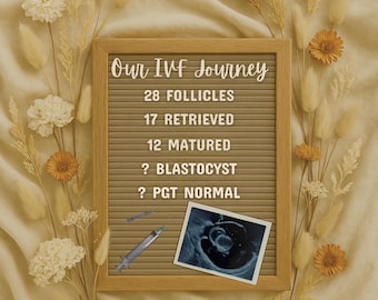 Digitale IVF Reiseankündigung Boho Style bearbeitbare Canva-Vorlage | Meilenstein IVF oder ECSI Tracker Flat Lay mit personalisiertem Sonogramm