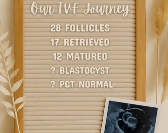 Digitale IVF Reiseankündigung Boho Style Bearbeitbare Letterboard Vorlage Meilenstein IVF oder ECSI Tracker Flat Lay mit personalisiertem Sonogramm