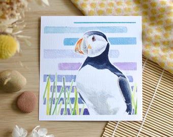 Limited edition bird watercolor - Atlantic Puffin