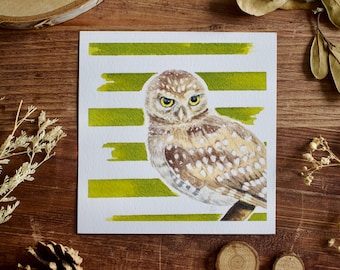 Limited edition owl bird watercolor - Burrowing Owl