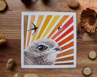 Limited edition bird watercolor - Common Swift