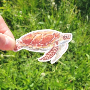 Könnte beinhalten: Ein Aufkleber einer Meeresschildkröte mit einem rotbraunen Panzer und weißen und braunen Flossen. Die Schildkröte wird vor einem Hintergrund aus grünem Gras gehalten.