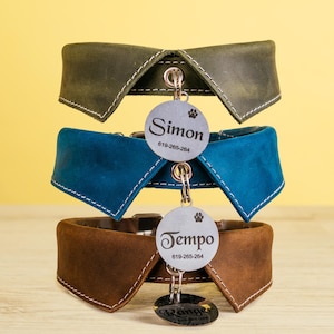 Dog Collar - Engraved Name Tag
