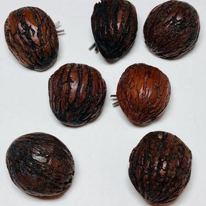 May include: Seven dark brown, textured cufflinks with silver-colored posts are arranged on a white surface. The cufflinks have a natural, organic appearance, resembling small, intricately carved nuts or seeds. The overall aesthetic is rustic and elegant.