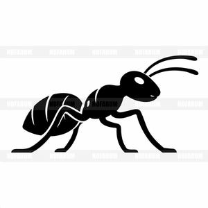 Silhouette de fourmi SVG, Insecte ouvrière PNG, Clipart de lutte antiparasitaire, Fichier de découpe d'activité naturelle, Illustration vectorielle d'animal de colonie, Illustration graphique rampante