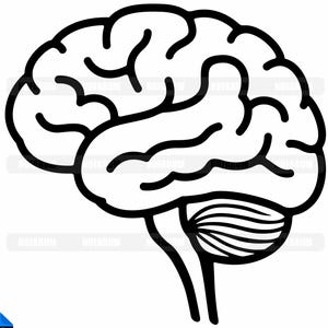 Cervello umano SVG, organo medico PNG, clipart mente neuroscienze, file di taglio psicologia, grafica vettoriale anatomia neurologica, design artigianale salute mentale