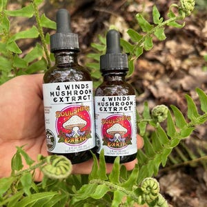 4 Winds Mushroom Blend Tincture, Dual Extract, Forest Grown