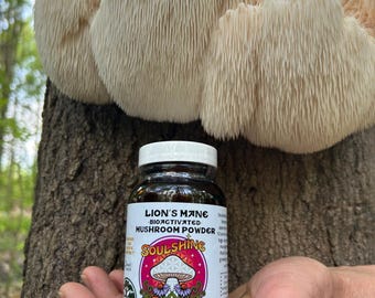Lion's Mane Mushroom Powder in Capsules