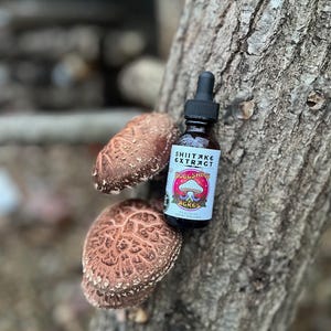 May include: A brown glass bottle with a dropper, labeled "Shiitake Extract" and "SoulShine Acres". The bottle is sitting on a tree trunk with three brown mushrooms.