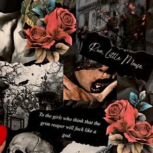 Dark Romance Insert / iPad Mini 7th Gen / Digital Download