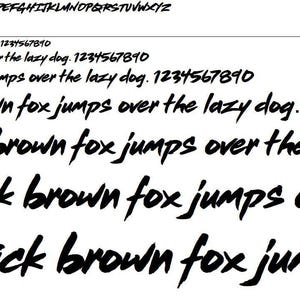 Op Cobra Kai geïnspireerd lettertype digitale download | Installatie met één klik | Aangepast lettertype karatethema