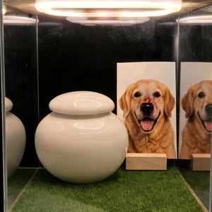 Memorial Urn Shadow Box with LED Light | Cremation Urn Display Case | Remembrance Keepsake Sympathy Gift