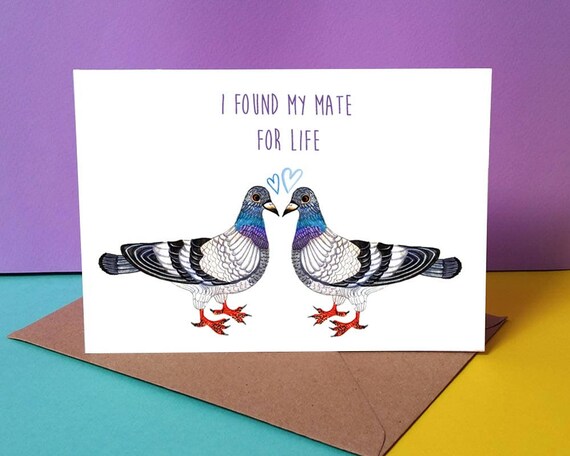 does pigeons mate for life