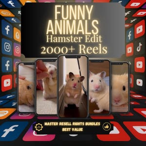 May include: An advertisement showing five smartphones with hamster videos. The text "FUNNY ANIMALS Hamster Edit 2000+ Reels" is displayed above the phones. Social media icons surround the phones, with the text "MASTER RESELL RIGHTS BUNDLES BEST VALUE" at the bottom.
