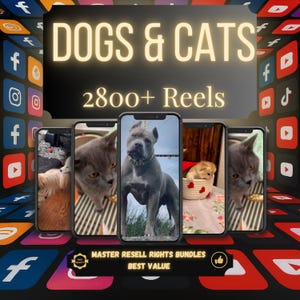 Könnte beinhalten: Werbung mit mehreren Smartphone-Bildschirmen, die Bilder von Hunden und Katzen zeigen. Der Text "DOGS & CATS" und "2800+ Reels" sind deutlich sichtbar. Der untere Teil des Bildes enthält den Text "MASTER RESELL RIGHTS BUNDLES BEST VALUE."