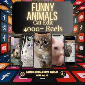May include: An advertisement showing five smartphones with cat videos. The words "FUNNY ANIMALS Cat Edit 4000+ Reels" are displayed above the phones. Social media icons and the text "MASTER RESELL RIGHTS BUNDLES BEST VALUE" are also visible.