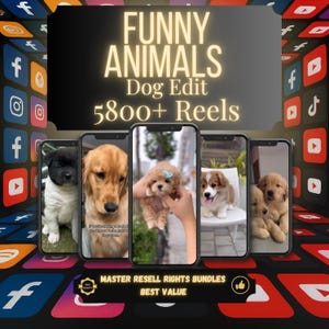 Digital product bundle hero image showing placeholder reels on smartphone mockups with bold title, product quantity, and Master Resell Rights badge on a black and gold background. Funny Animal Reels Bundle Dog Edition – 5800+ Faceless Videos for TikTok, Instagram | CapCut-Ready with PLR & Master Resell Rights