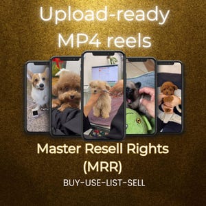 Five smartphone mockups on a gold background with text stating upload-ready MP4 reels, Master Resell Rights, and easy process to buy, use, list, and sell Funny Animal Reels Bundle Dog Edition – 5800+ Faceless Videos for TikTok, Instagram | CapCut-Ready with PLR & Master Resell Rights