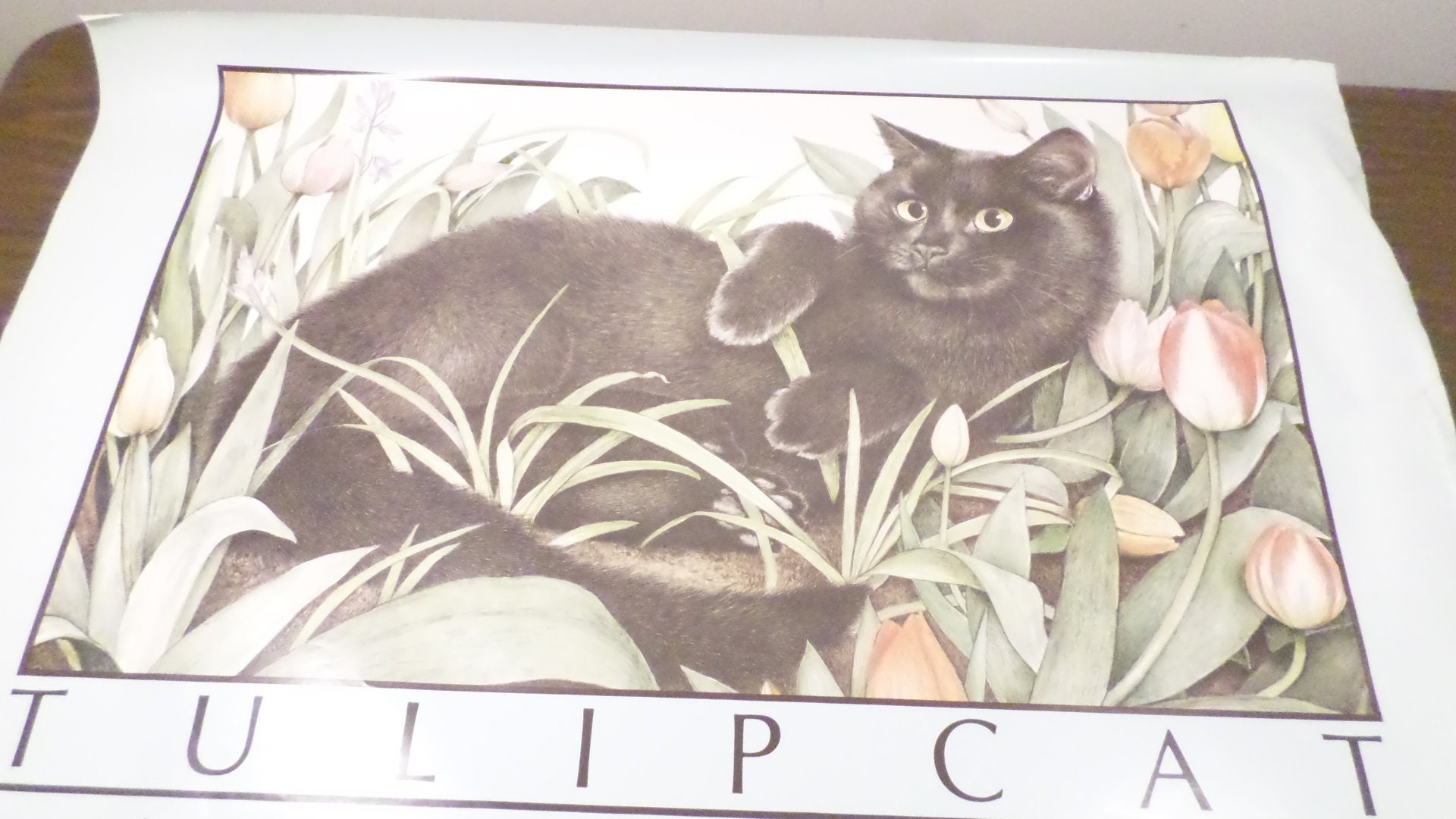 1984 Tulip Cat by Jan Huston Poster Print, Athena International