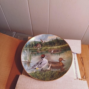 May include: Decorative plate featuring a serene lakeside scene with ducks. The plate's design includes a detailed depiction of ducks in a natural habitat, with a gold rim. The artwork showcases a blend of colors, including blues, greens, and browns.