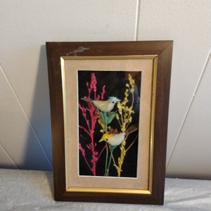 Vintage SNY Framed Bird Shadow Box Wall Hanging