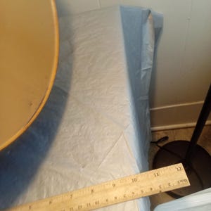 May include: A wooden ruler with inch markings, measuring up to 12 inches, lies on a light blue surface. A portion of a round, tan object is visible on the left. The scene is indoors, with a white wall in the background.