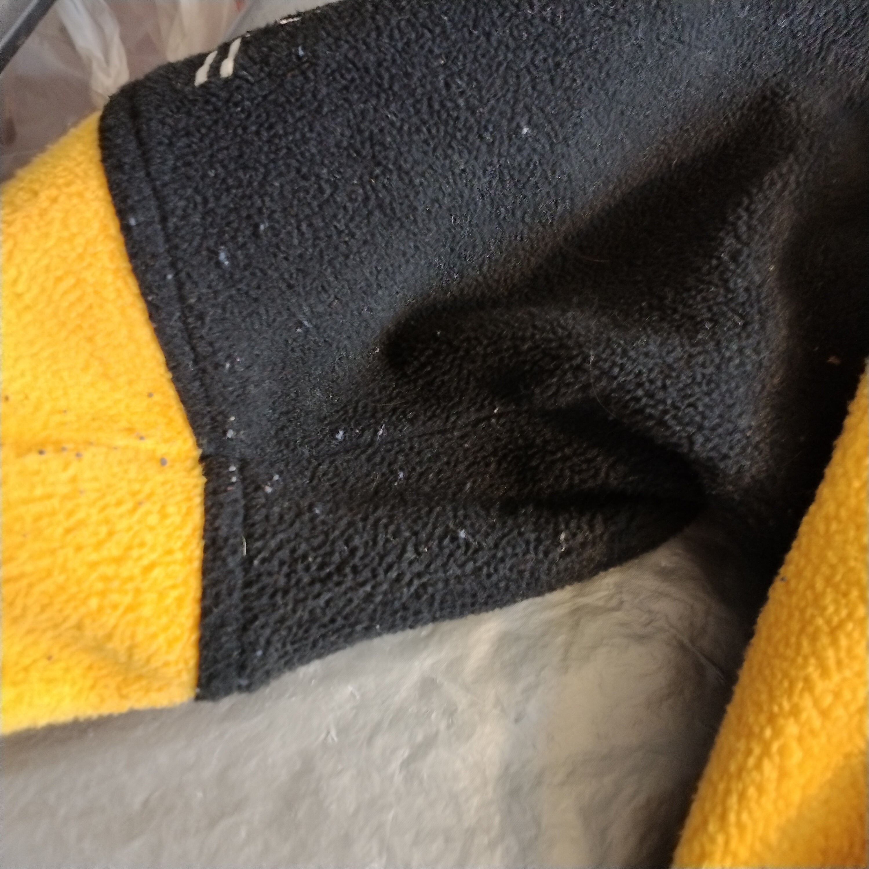 ヴィンテージ Z X スケートボード フリース パーカー - Etsy 日本