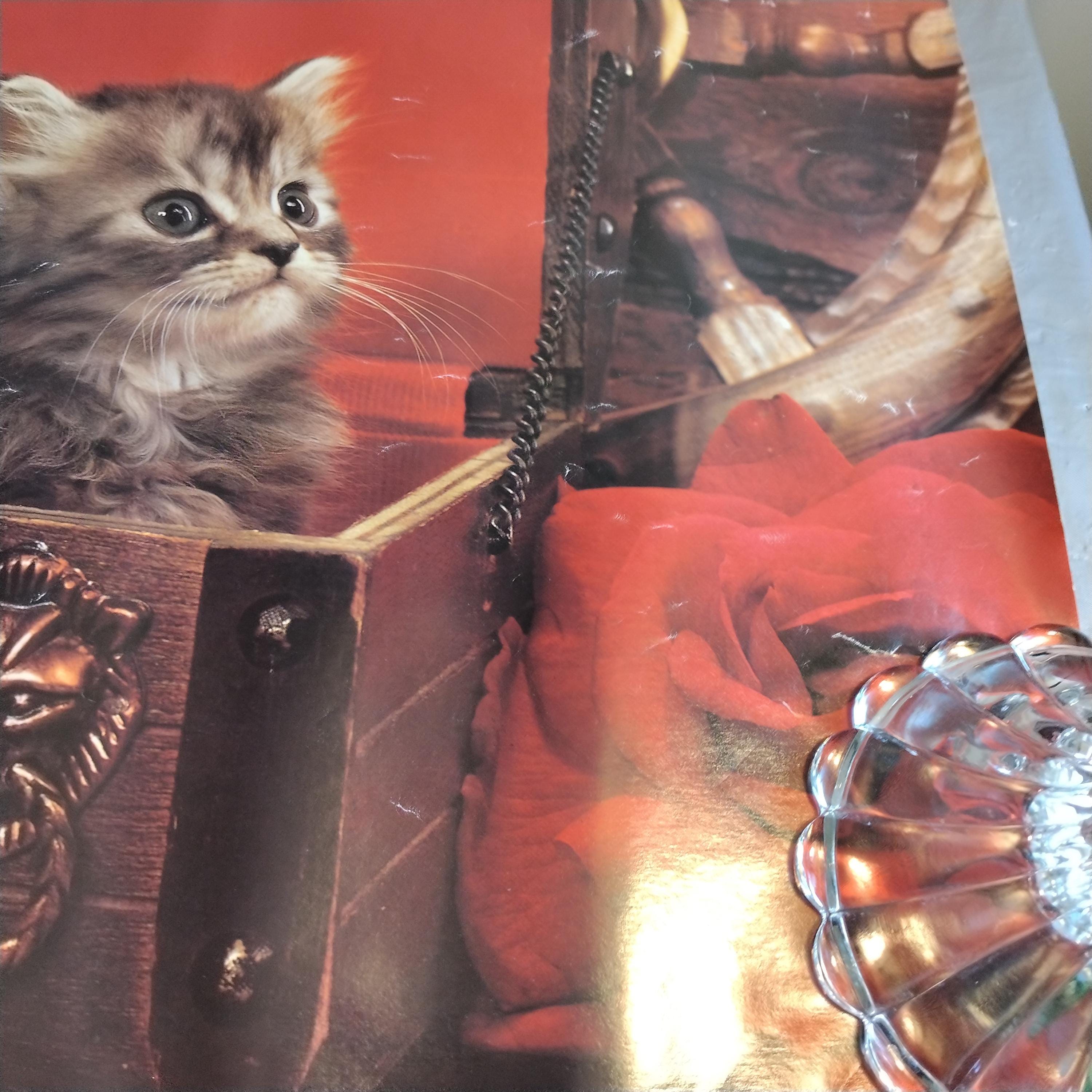 【CAT】　vintage poster Cats (Vintage Art) Posters & Wall Art Prints | AllPosters.com