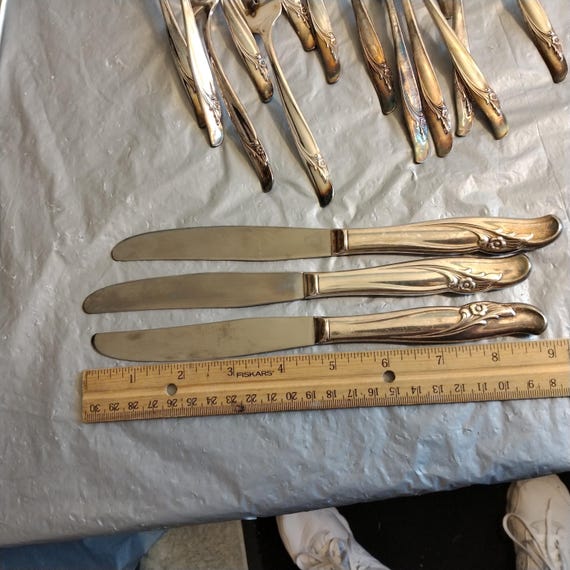 46 Pc Rogers & Bros Floral Exquisite Silverware Set, Reinforced