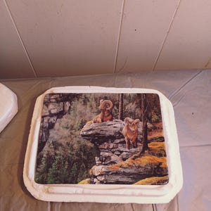 The Bradford Exchange Bighorns Linger on the Edge Cliff Dwellers Collector&#39;s Plate