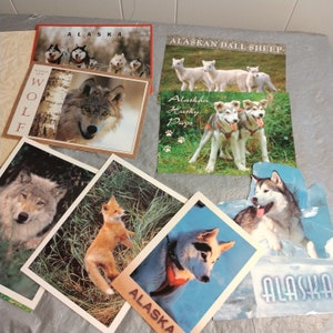26 cartes postales et cartes de vœux avec animaux Wolfe d'Alaska