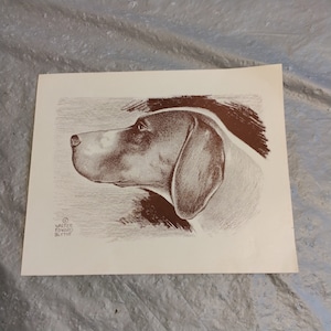 Mid Century Vintage Walter Edward Blythe Dog Print, Short Hair Pointer