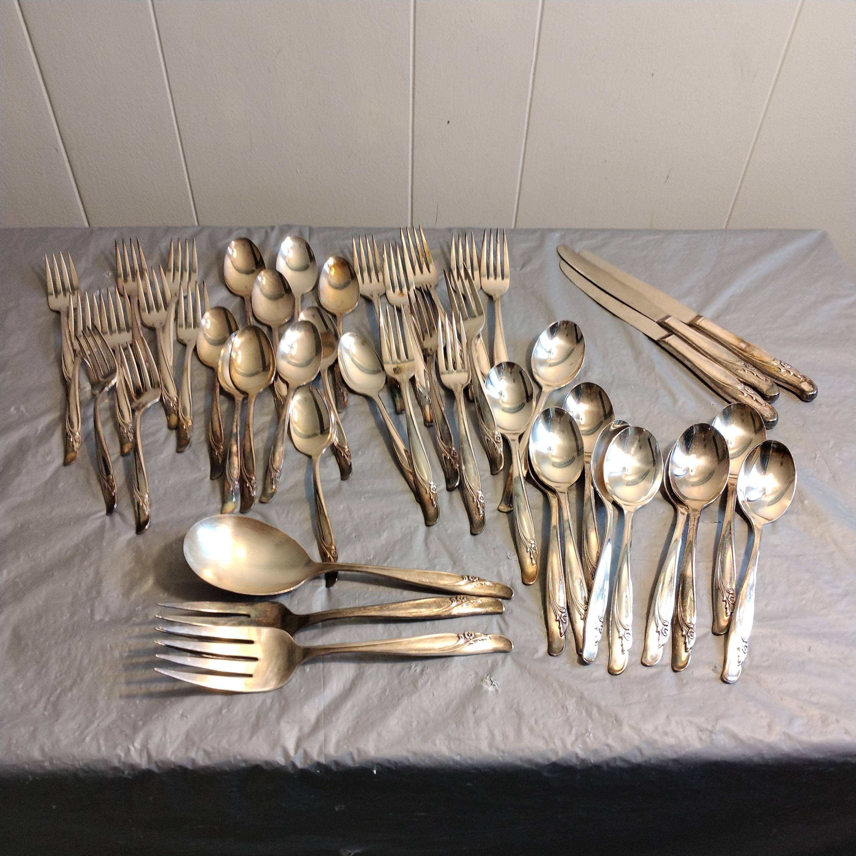46 Pc Rogers & Bros Floral Exquisite Silverware Set, Reinforced