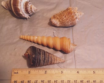 il_340x270.6629011083_aa66.jpg